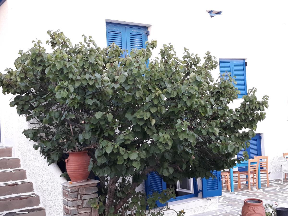 Holidays In Paros Alikí Eksteriør billede